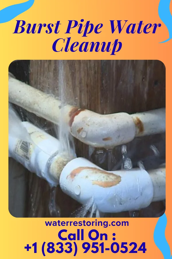 Burst Pipe Water Cleanup in South Temple, PA