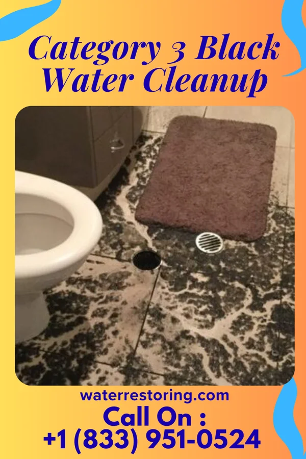 Category 3 Black Water Cleanup in South Temple, PA