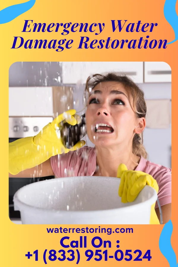 Emergency Water Damage Restoration in South Temple, PA