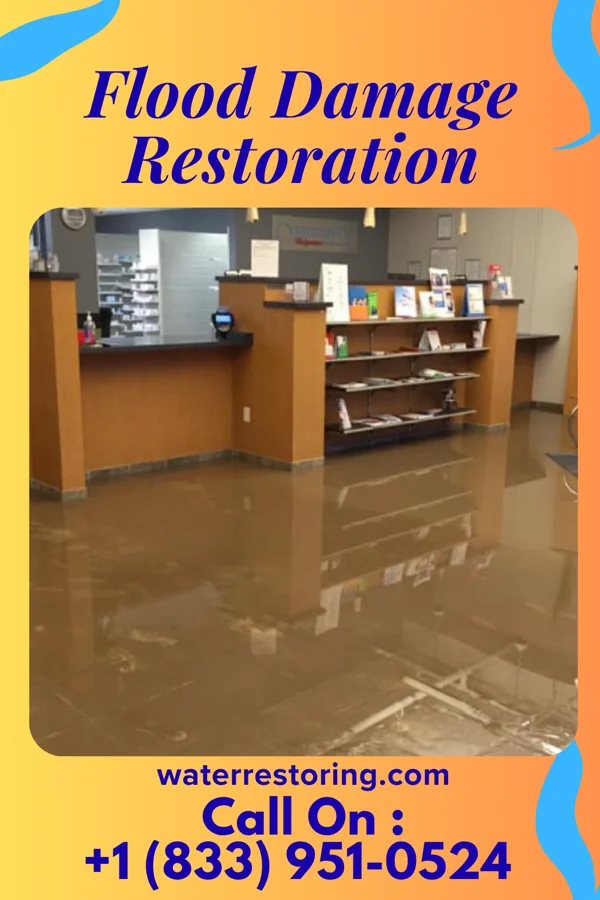 Flood Damage Restoration in South Temple, PA