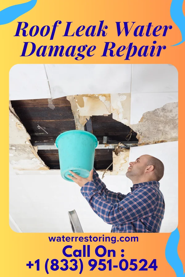 Roof Leak Water Damage Repair in South Temple, PA
