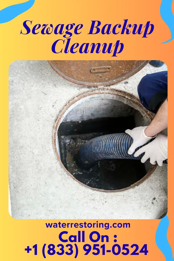 Sewage Backup Cleanup in South Temple, PA